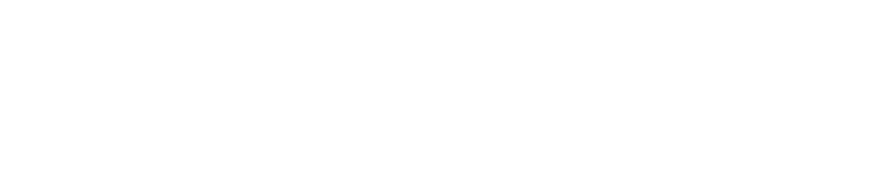 Diginomadas